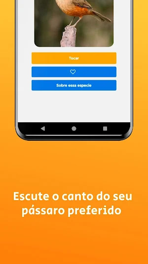 Cantos de pássaros brasileiros Screenshot 1
