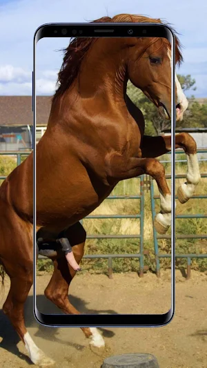 Horse Wallpapers Screenshot 3