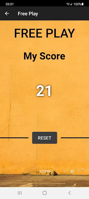 Dunk Master Screenshot 2