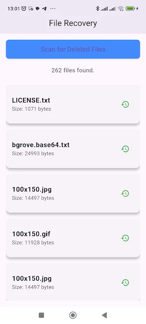 recoverpro Screenshot 2