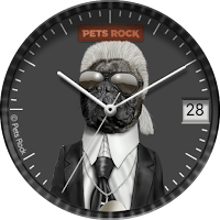 Fashion | Pets Rock