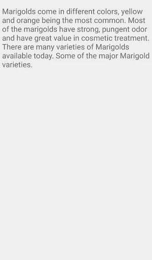 Description of Marigold Flower Screenshot 2