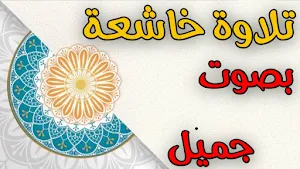 اية الكرسي مكررة بدون نت Screenshot 0