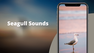 Seagulls Sounds Screenshot 0