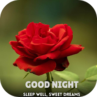 good night roses
