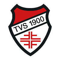 TV Schwafheim Handball