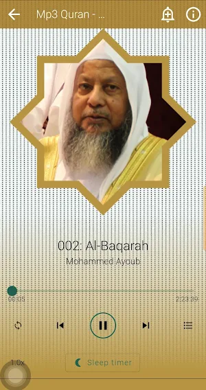 Muhammad Ayoub Quran Offline Screenshot 1
