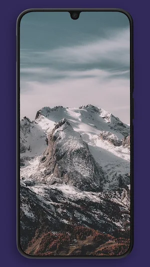 Walp Wallpapers Screenshot 3