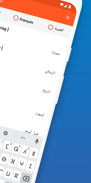Official Amazigh Dictionary Screenshot 1