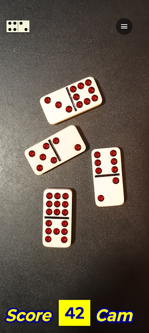 Domino Camera Screenshot 2