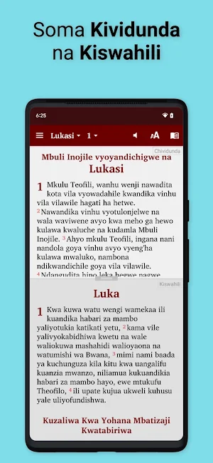 Vidunda Bible Screenshot 3