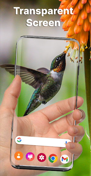 Transparent Camera Wallpaper Screenshot 2
