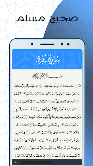 صحيح مسلم صوت Screenshot 2
