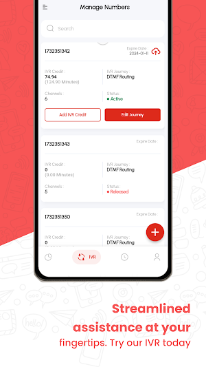 IVR Desk Screenshot 2