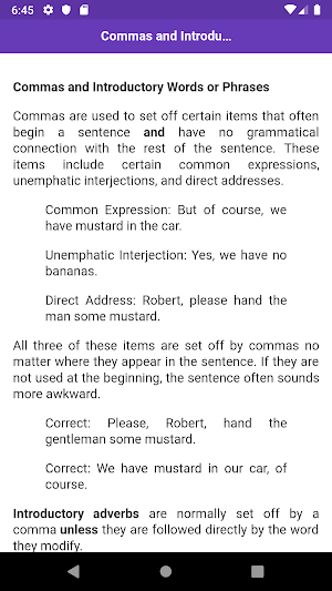 Punctuation Rules Screenshot 3