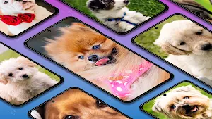 Puppy wallpaper background Screenshot 0