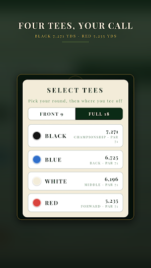 Athens Virtual Golf Screenshot 1
