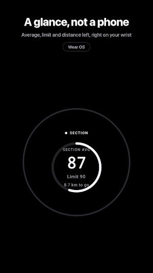 Tempo: Average Speed Check Screenshot 1