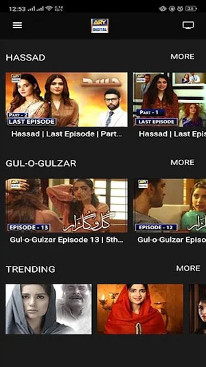 ARY DIGITAL Screenshot 1