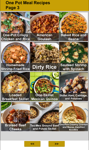 One Pot Meal Recipes Screenshot 2