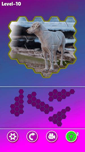 Hexa Jigsaw - Dogs jigsaw puzzle game Screenshot 3