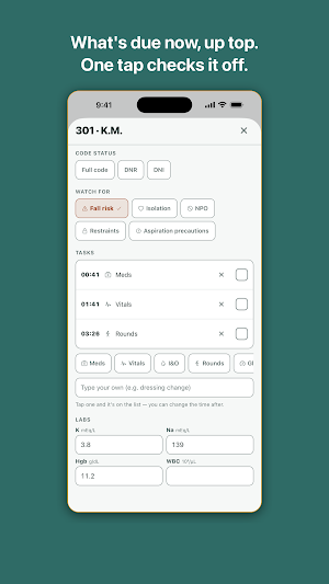 BrainSheet: Nurse Report Sheet Screenshot 2