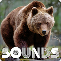 Bear Sound Ringtones