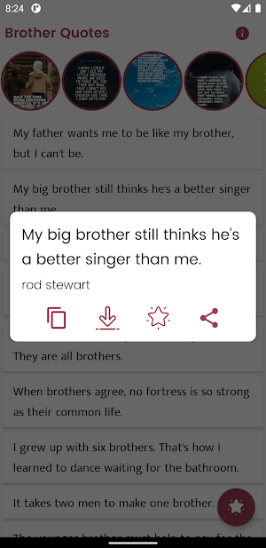 Brother Quotes and Sayings Screenshot 1