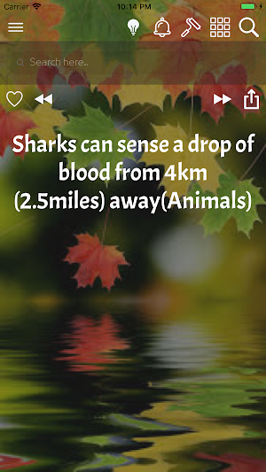 WowFacts Learn Daily Facts App Screenshot 0