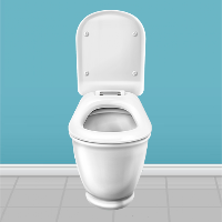 Toilet simulator