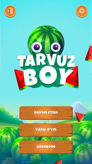Tarvuzboy Screenshot 0