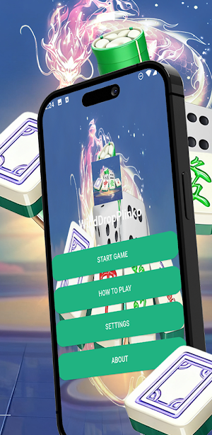 WindDropPlinko Screenshot 1