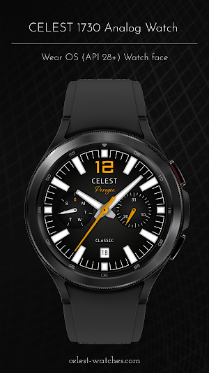 CELEST1730 Analog Watch Screenshot 1