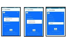 TaurusWebs V2025 Screenshot 0