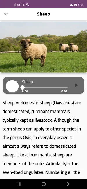 Animal sounds in nature Screenshot 3