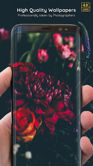 Flower Wallpapers 8K ULTRA Screenshot 0