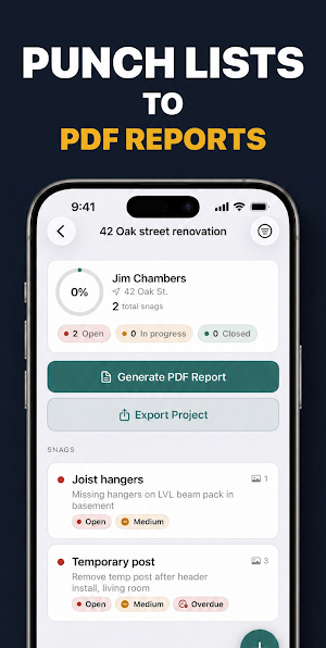 Punch List: Inspection Report Screenshot 0