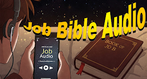 Job Bible Audio Offline (WEB) Screenshot 1