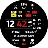 EXD107: Digital Watch Face