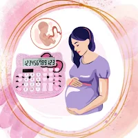 Pregnancy Calculator - Baby