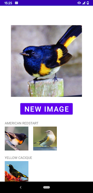 Bird identifier Screenshot 2