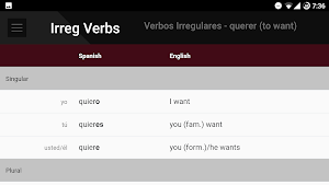 Spanish Grammar Screenshot 2