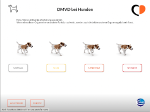 Canine DMVD Screenshot 1