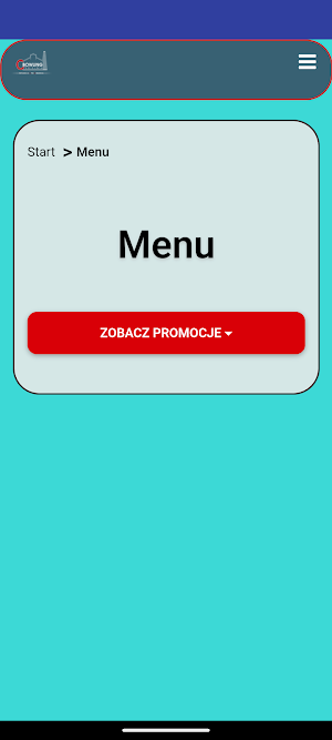 Bowling Cegielnia Screenshot 0