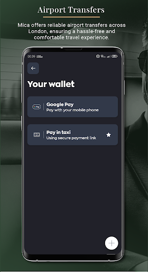 Mica Screenshot 3
