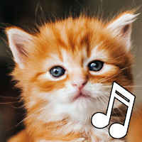 Cat Sounds