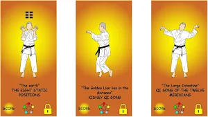 Qi Gong Mirror Screenshot 3