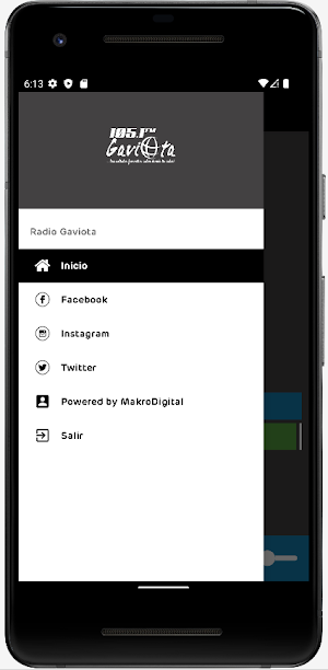 Radio Gaviota Screenshot 3