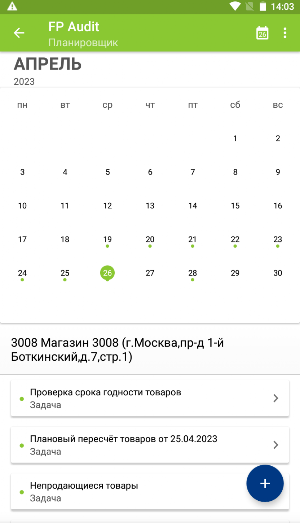 FP Audit Screenshot 2