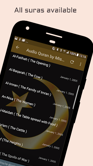 Audio Quran by Mishary Alafasy Screenshot 1